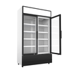 Vitrine verticale 2 portes blanche à roulettes de 670L LED